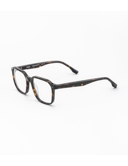 Woodys Jackson col 01