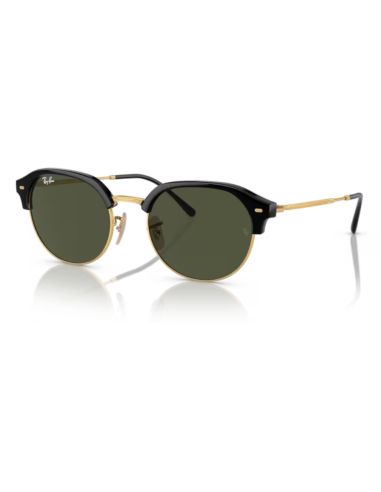 Ray Ban Ray Ban RB 4429 col 601-31 - vue de face (photo principale)
