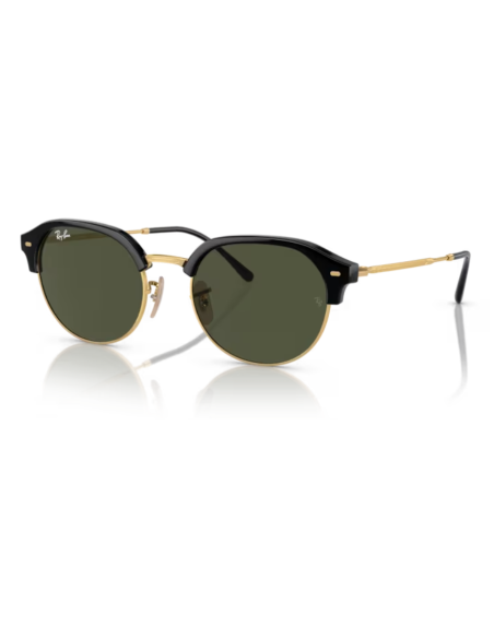Ray Ban Ray Ban RB 4429 col 601-31 - vue de face (photo principale)