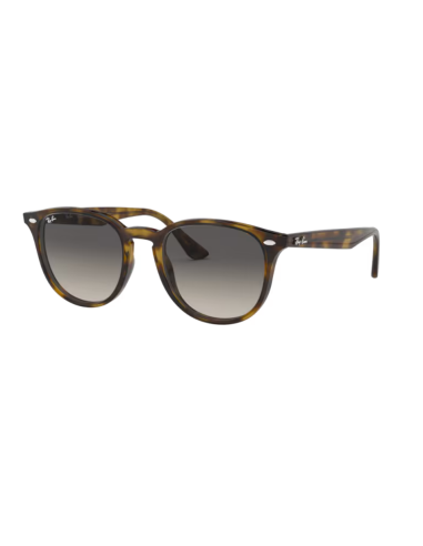 Ray Ban Ray Ban RB 4259 col 710-73 - vue de face (photo principale)