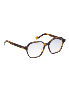 Entourage of 7 Wren col 0852