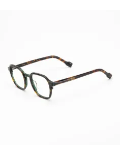 Woodys Ernest col 02