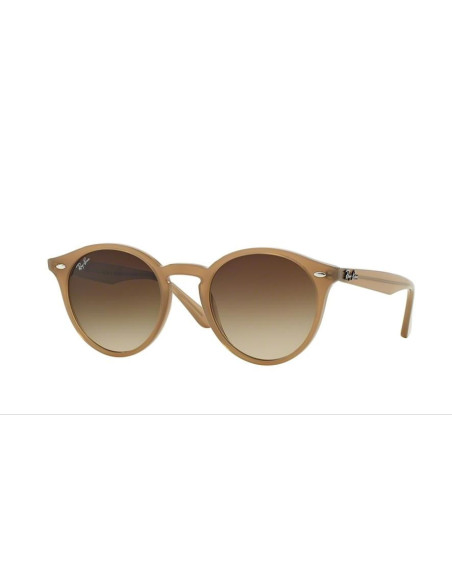 Ray Ban Ray Ban RB 2180 col 6166 13 - vue de face (photo principale)